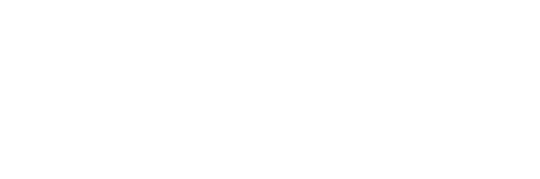 tortoch logo ssans fond